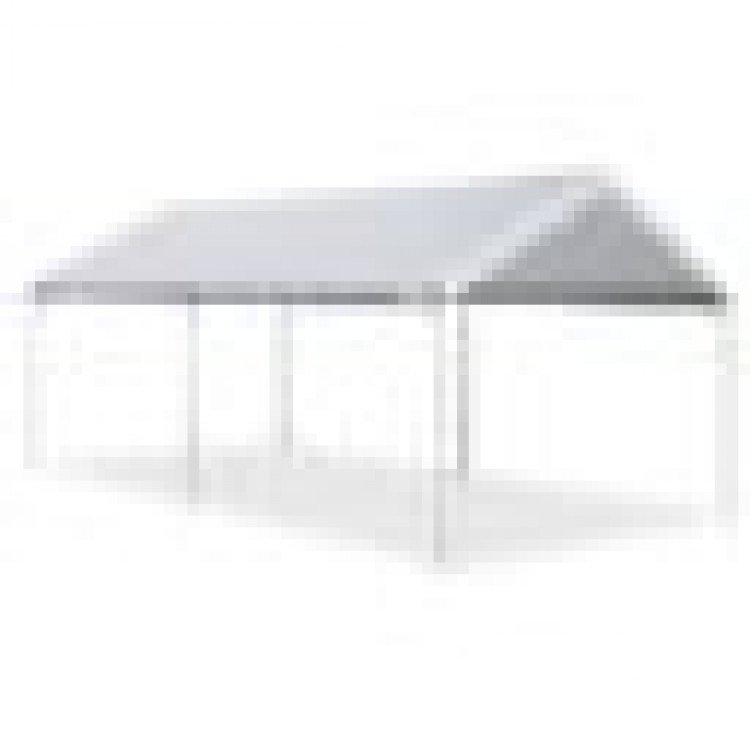 10 x 20 Canopy